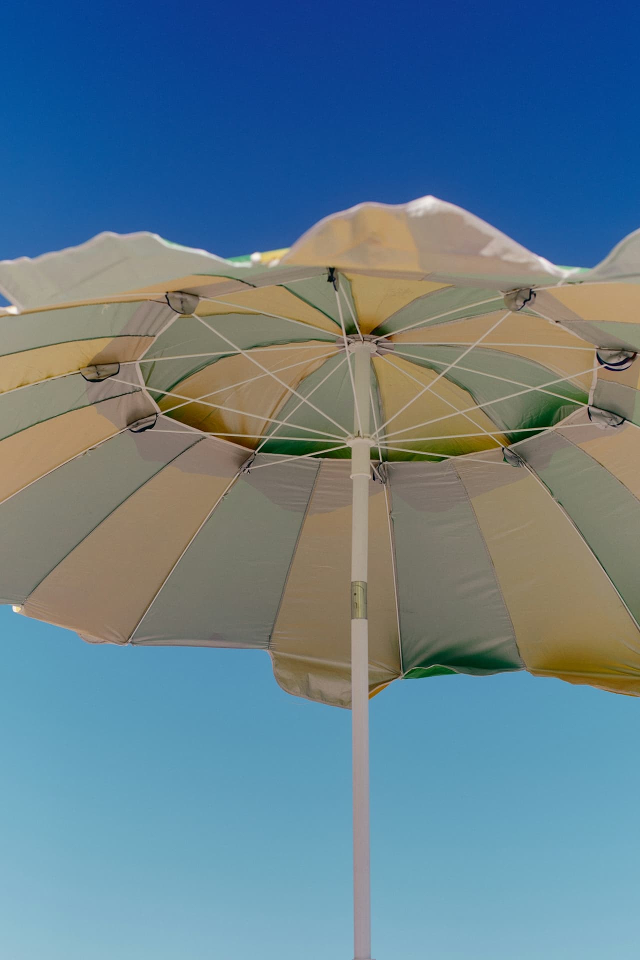 UMBRELLA background